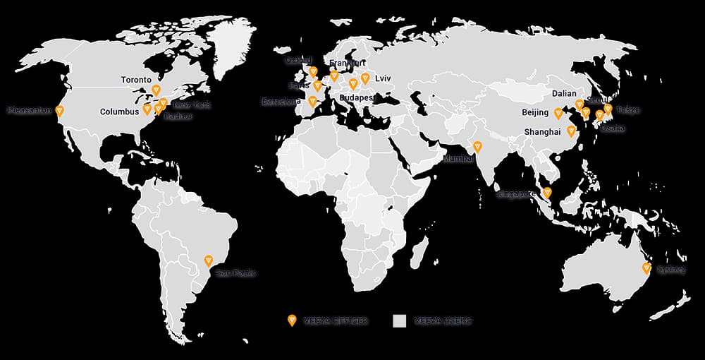 Global Ecosystem of Veeva Consulting and Professional Services Partners