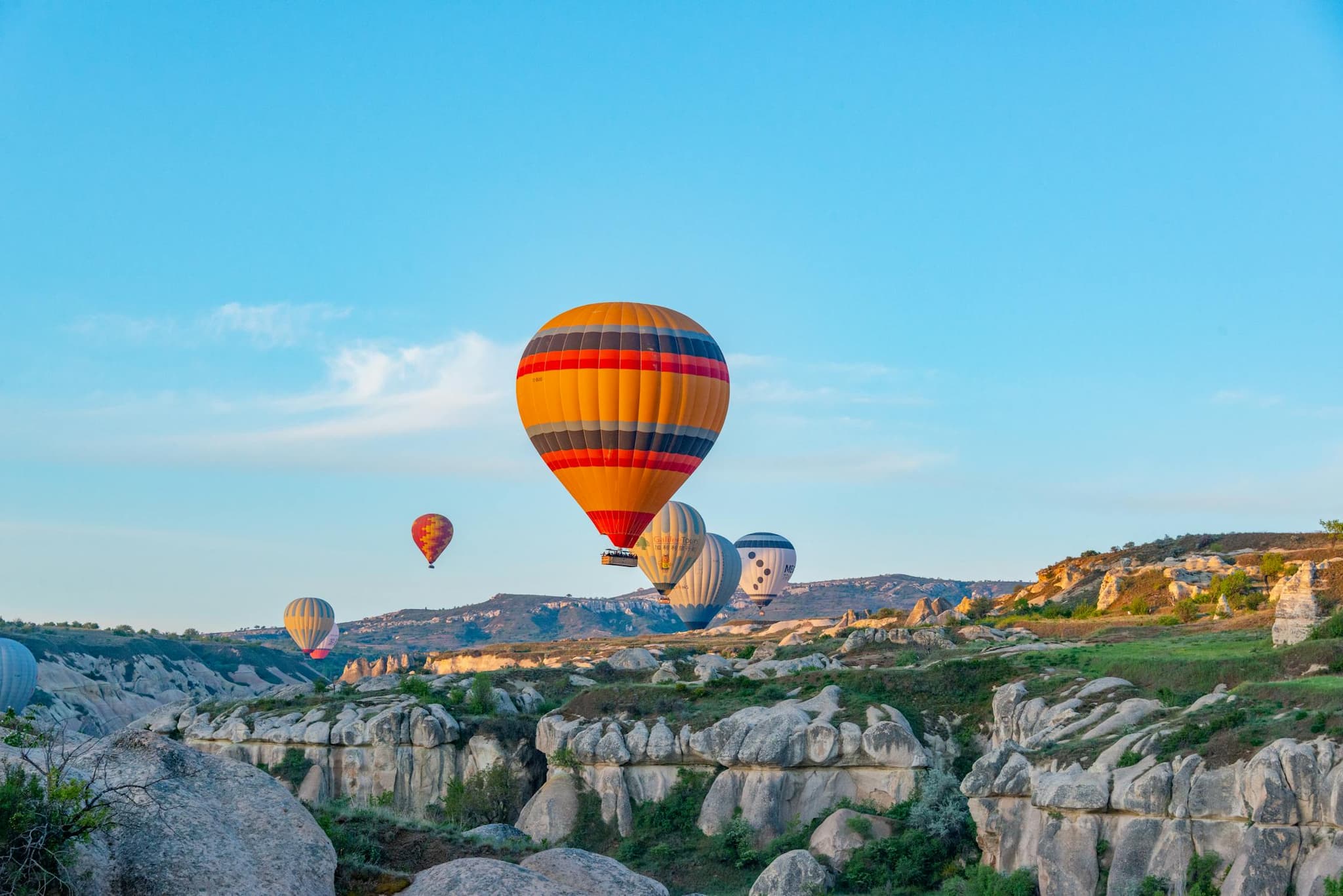 Scenic landscape with hot air balloons