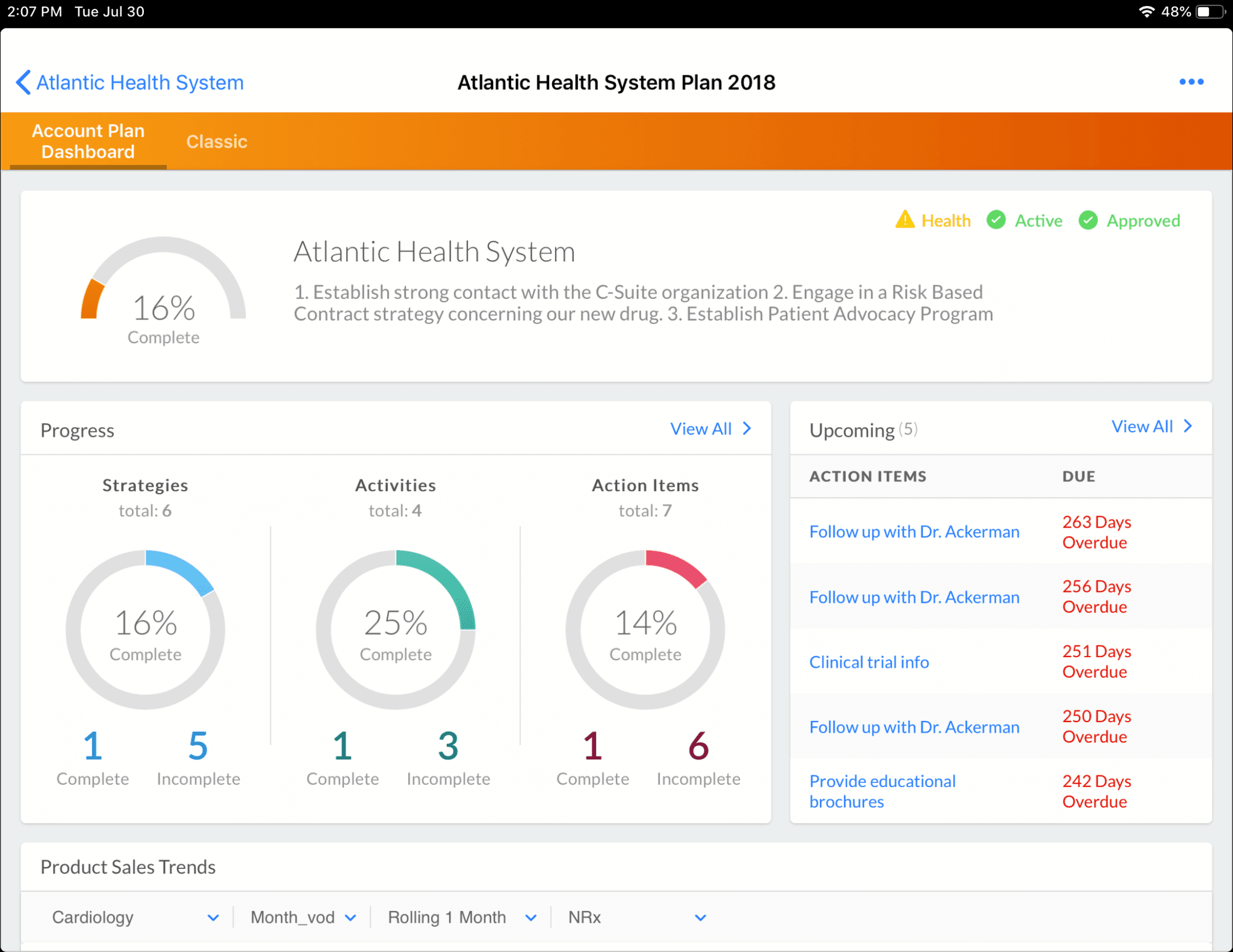 Atlantic Health System Account Plan Dashboard Overview