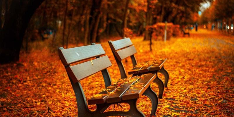 Developpement de Medicaments Biologiques