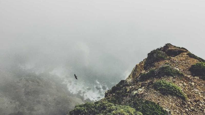 Pricing strategy optimization