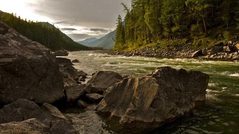 Channel mix optimization