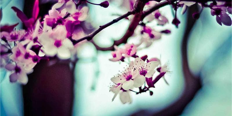 Donnees en Vie Reelle