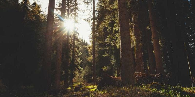 Regulatory Compliance