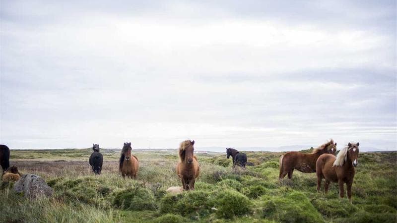 Low-code app builder