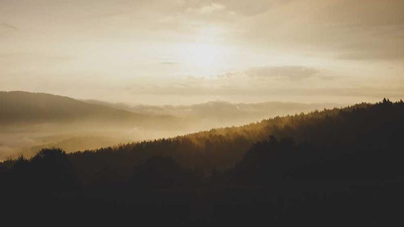 Integration with EHR and ERP