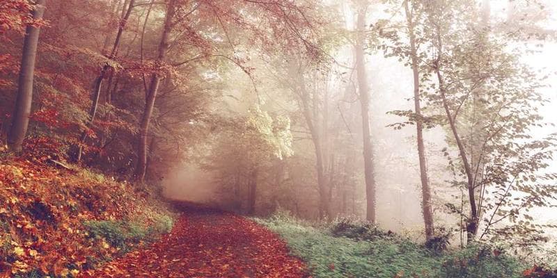 IntuitionLabs office in San Jose